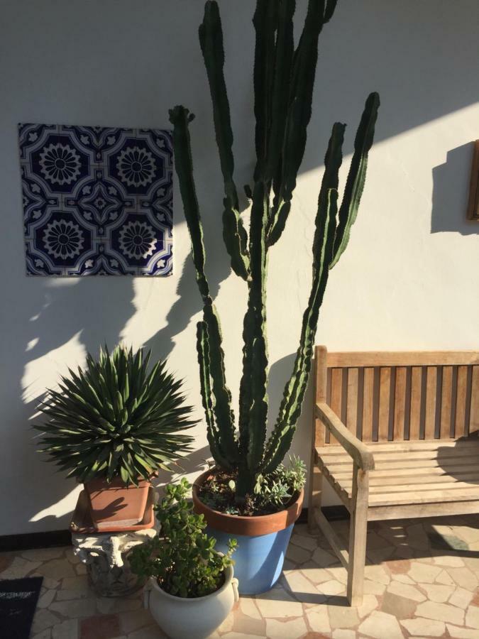 B&B La Villa Mediterranea Passirano Exteriör bild